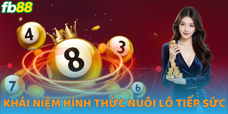 Khái quát nuôi lô tiếp sức 