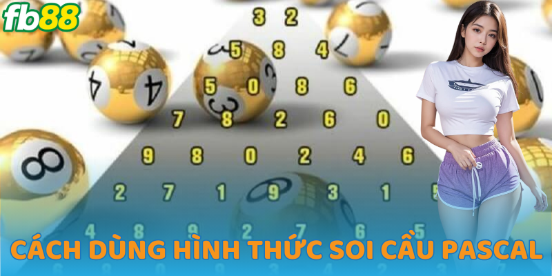 Nguyên lý hoạt động của pascal