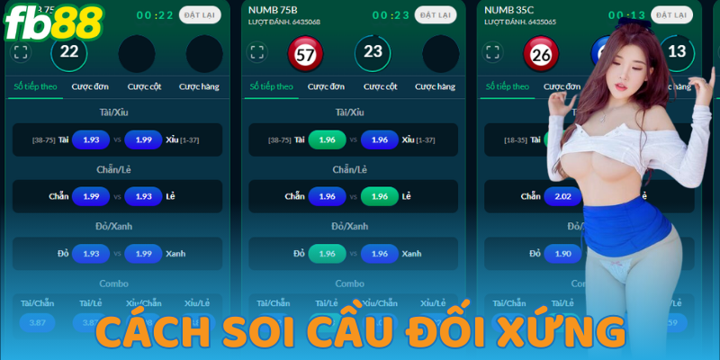 Phương pháp cầu đối xứng trong lô đề