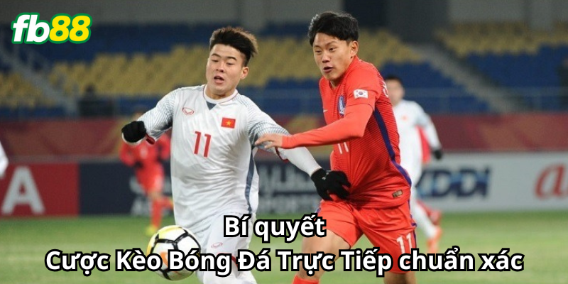 Bí quyết Cược Kèo Bóng Đá Trực Tiếp chuẩn xác
