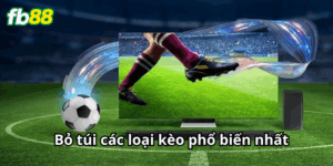 Cược Kèo Bóng Đá Trực Tiếp - Bí Quyết Thắng Lớn Từ Cao Thủ