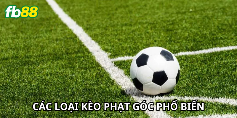 Các loại kèo phổ biến và cách tiếp cận