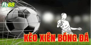 Thủ Thuật Soi Kèo Cược Xiên Hiệu Quả Dành Cho Tân Binh 2025