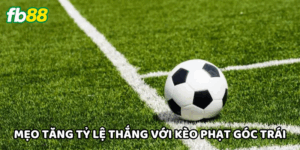 Kèo Phạt Góc Trái - Bí Kíp Soi Kèo Chuẩn Xác Tăng Tỷ Lệ Thắng