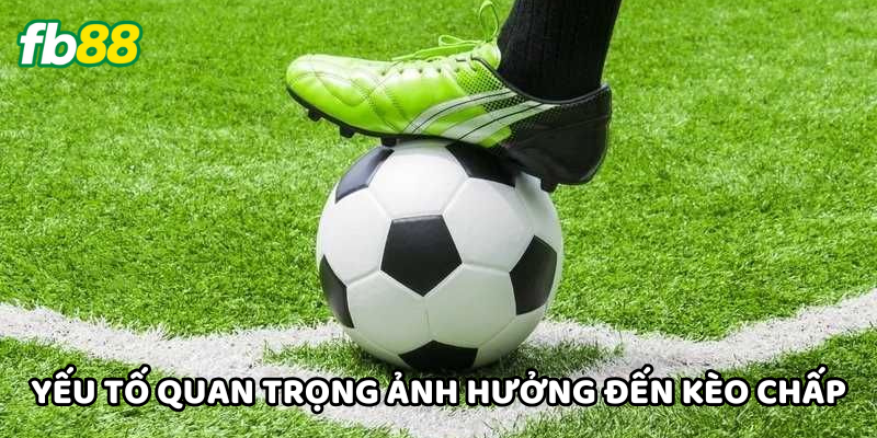Yếu tố quan trọng ảnh hưởng đến Kèo Chấp